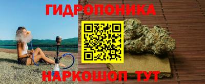 a pvp Гусев