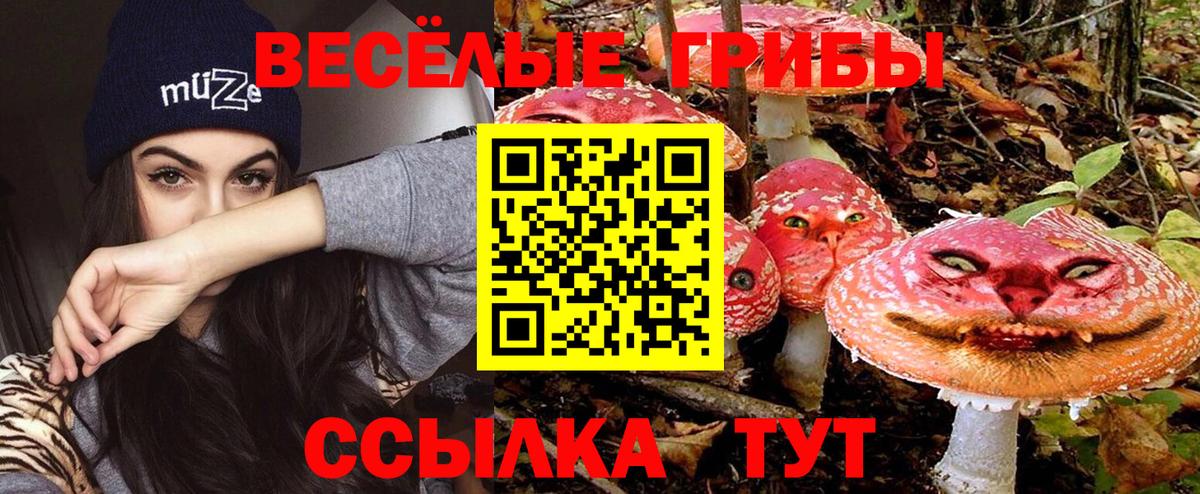 Заволжье  Галлюциногенные грибы Magic Shrooms  Вход с VPN 